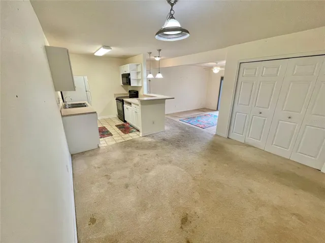 As you can see this lake front condo needs TLC and your personal touches to make it great.