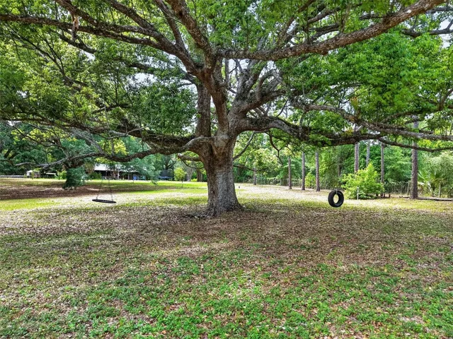 Rear pasture
