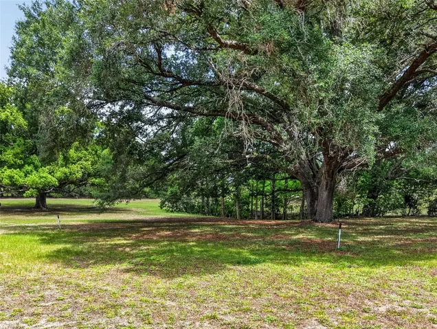 Rear pasture