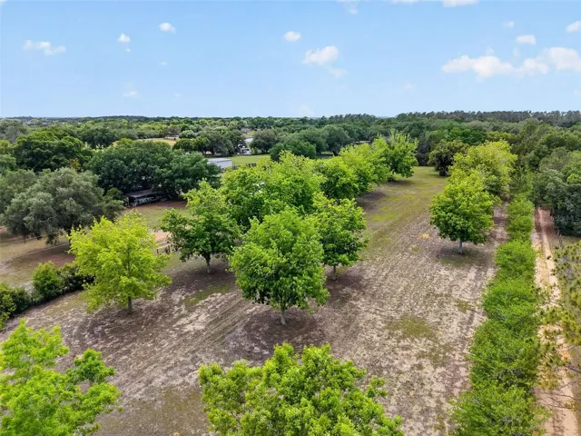 Walnut orchard-Front pasture