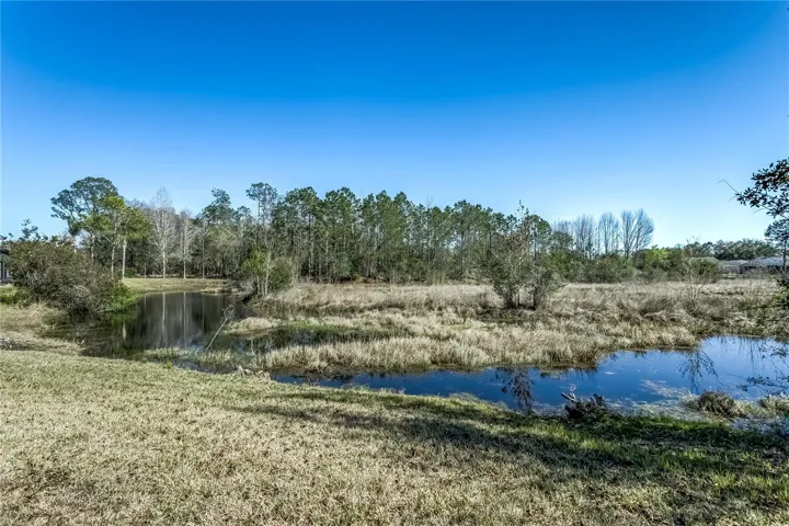 View from backyard