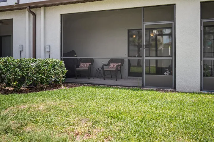 Back yard