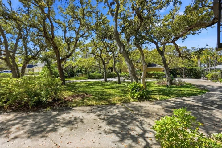 Main Driveway