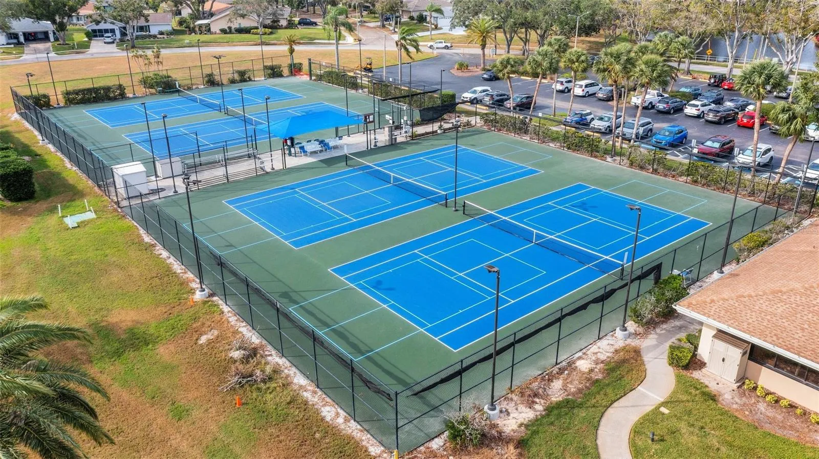 Tennis &amp; Pickleball leagues with beginner clinics~
