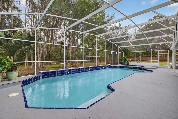 Resort Style Saltwater Pool and Spa