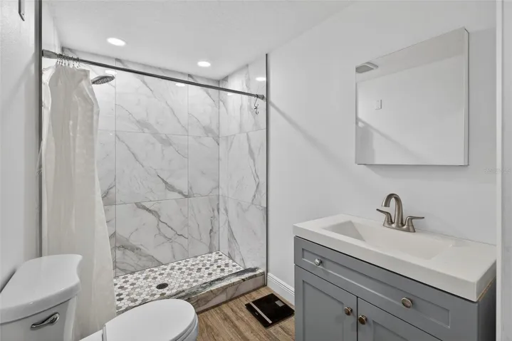 In-law Suite Bathroom
