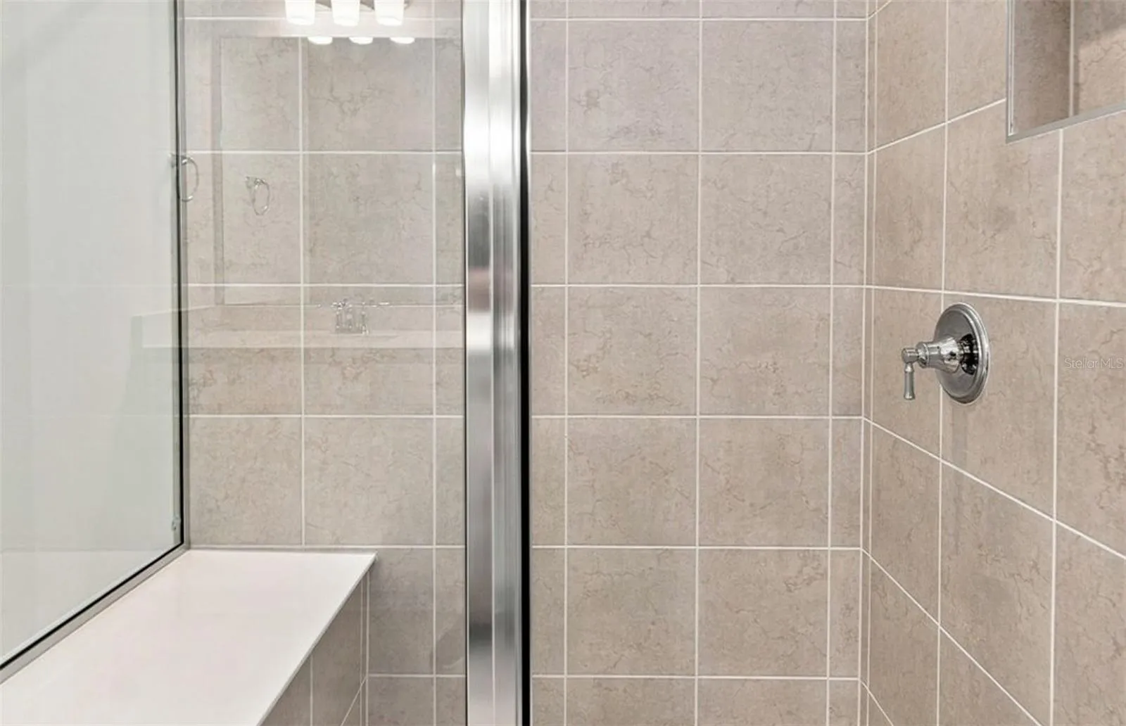 Owner's Walk-in Shower