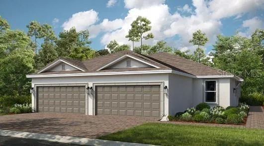 Ibis Rendering