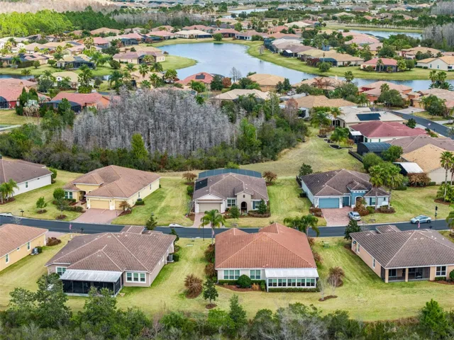 Aerial Views