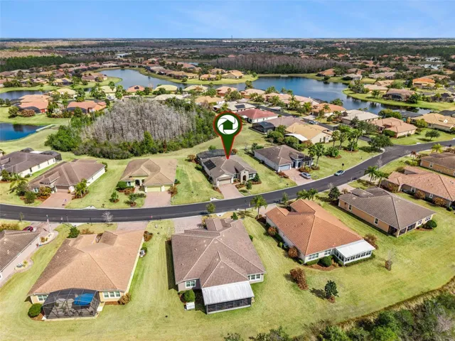 Aerial Views