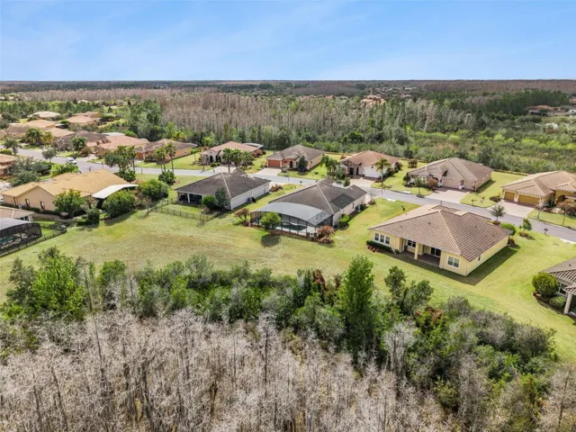 Aerial Views