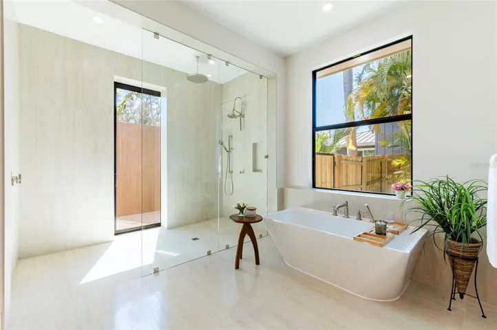 Master Soaking Tub and Indoor Shower
