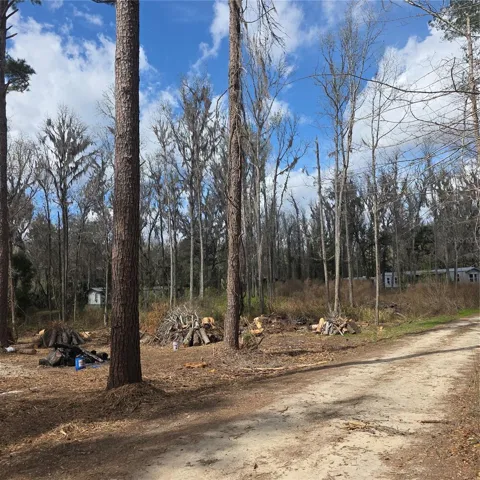 Those piles of cut down wood are in lot #2