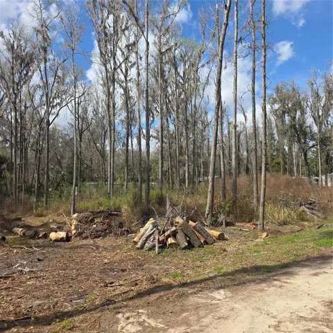 Lot #2