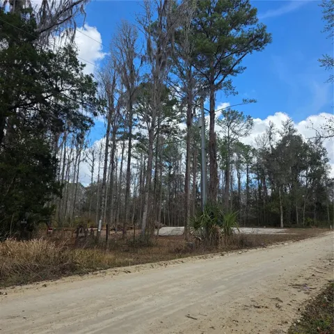 The view as you approach the property.