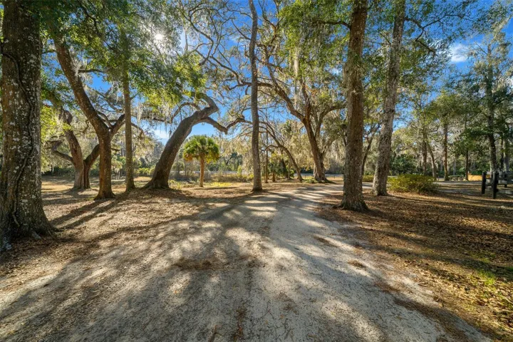 TRAILS AROUND THE PROPERTY