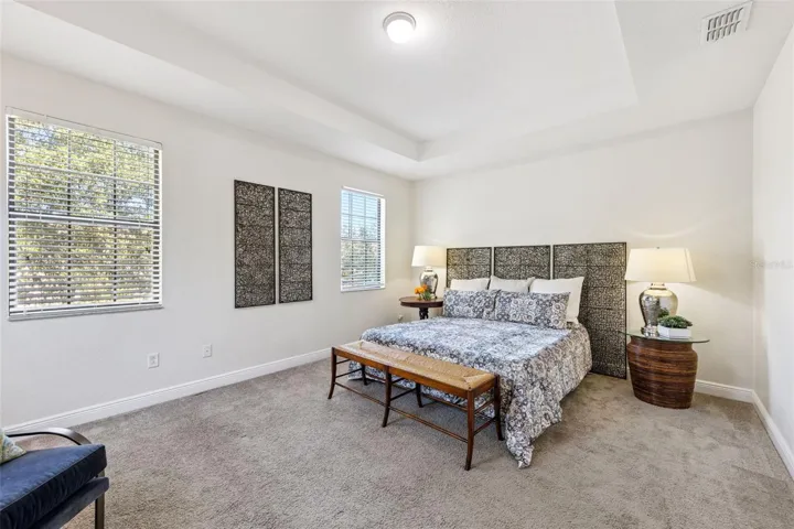 Primary Suite with Tray Ceiling