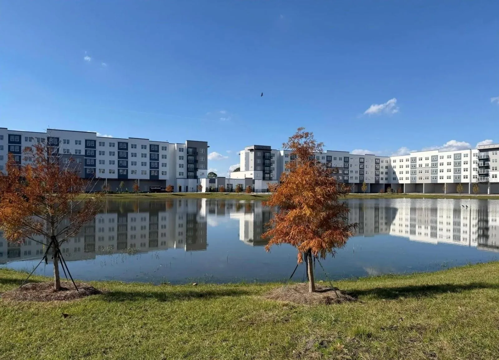 Pond View