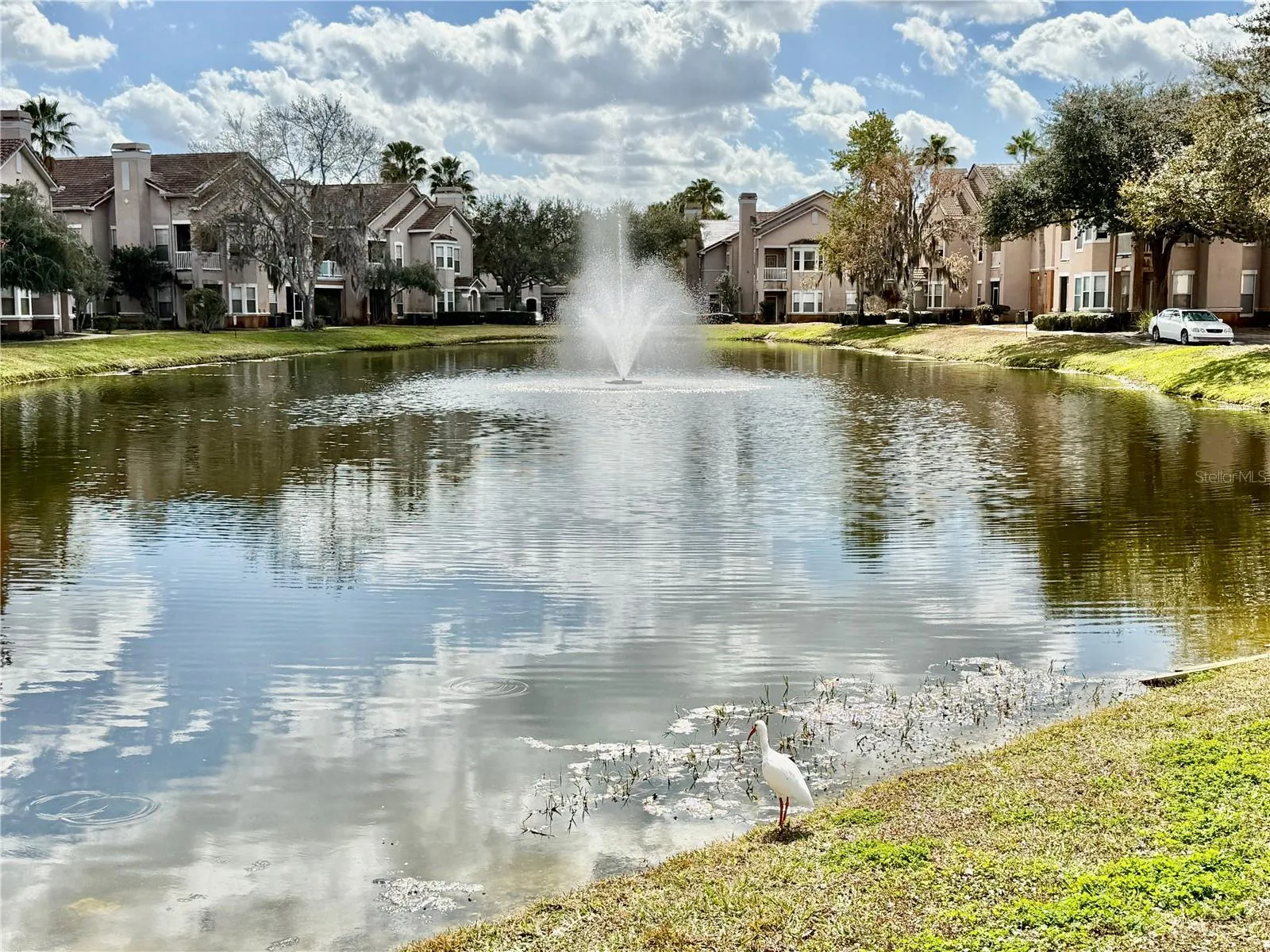Community Pond