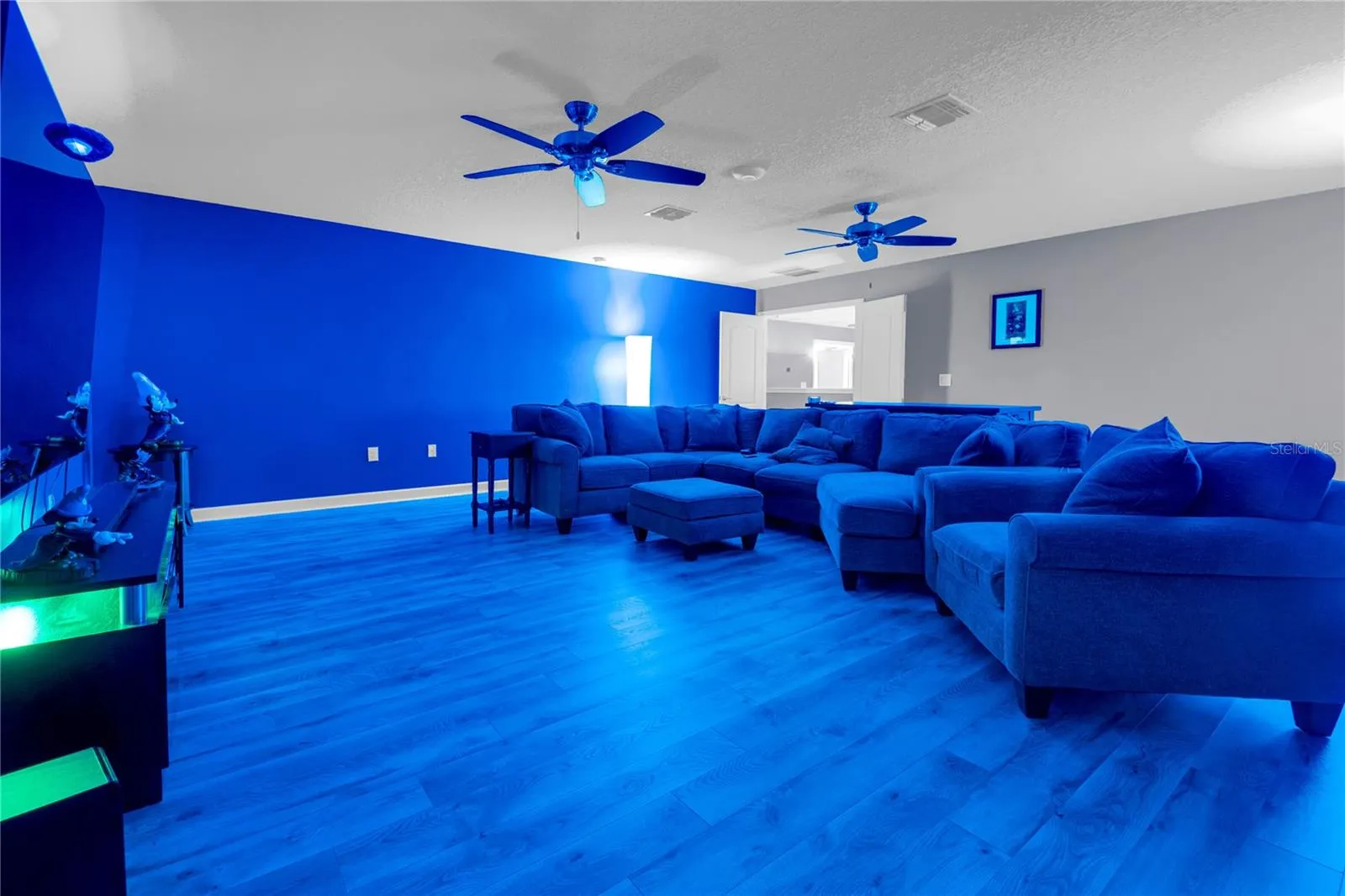Movie room above the 3 car garage