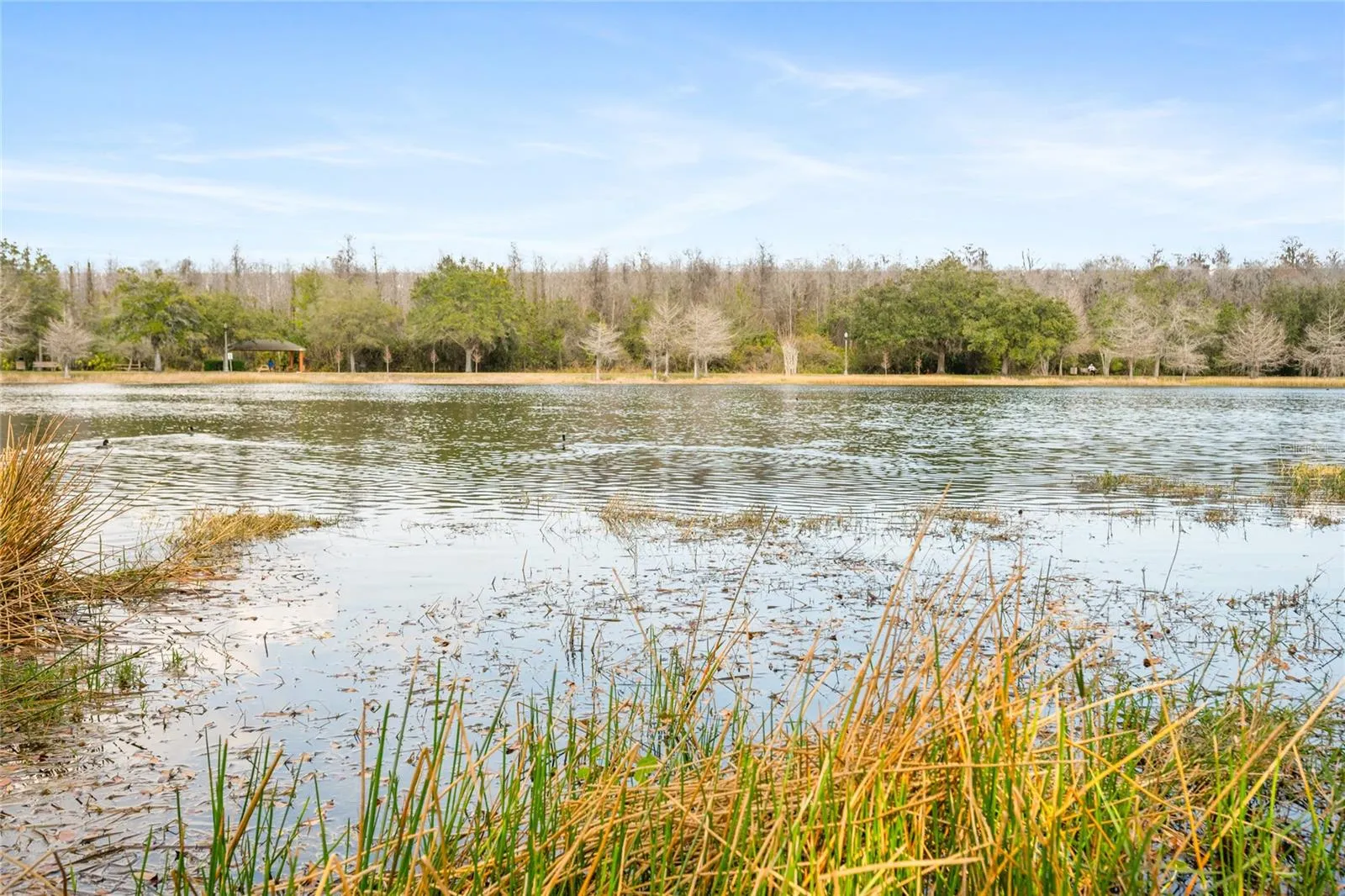 East Lake (within the neighborhood) features walking trails, a picnic pavilion, sandpit volleyball court, and other amenities
