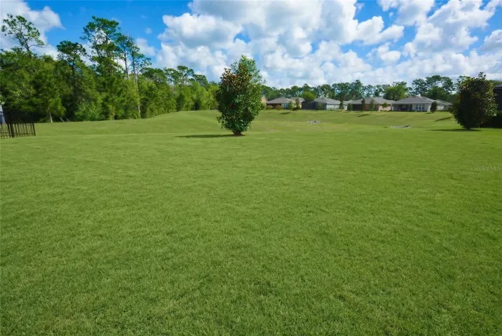 extensive back yard