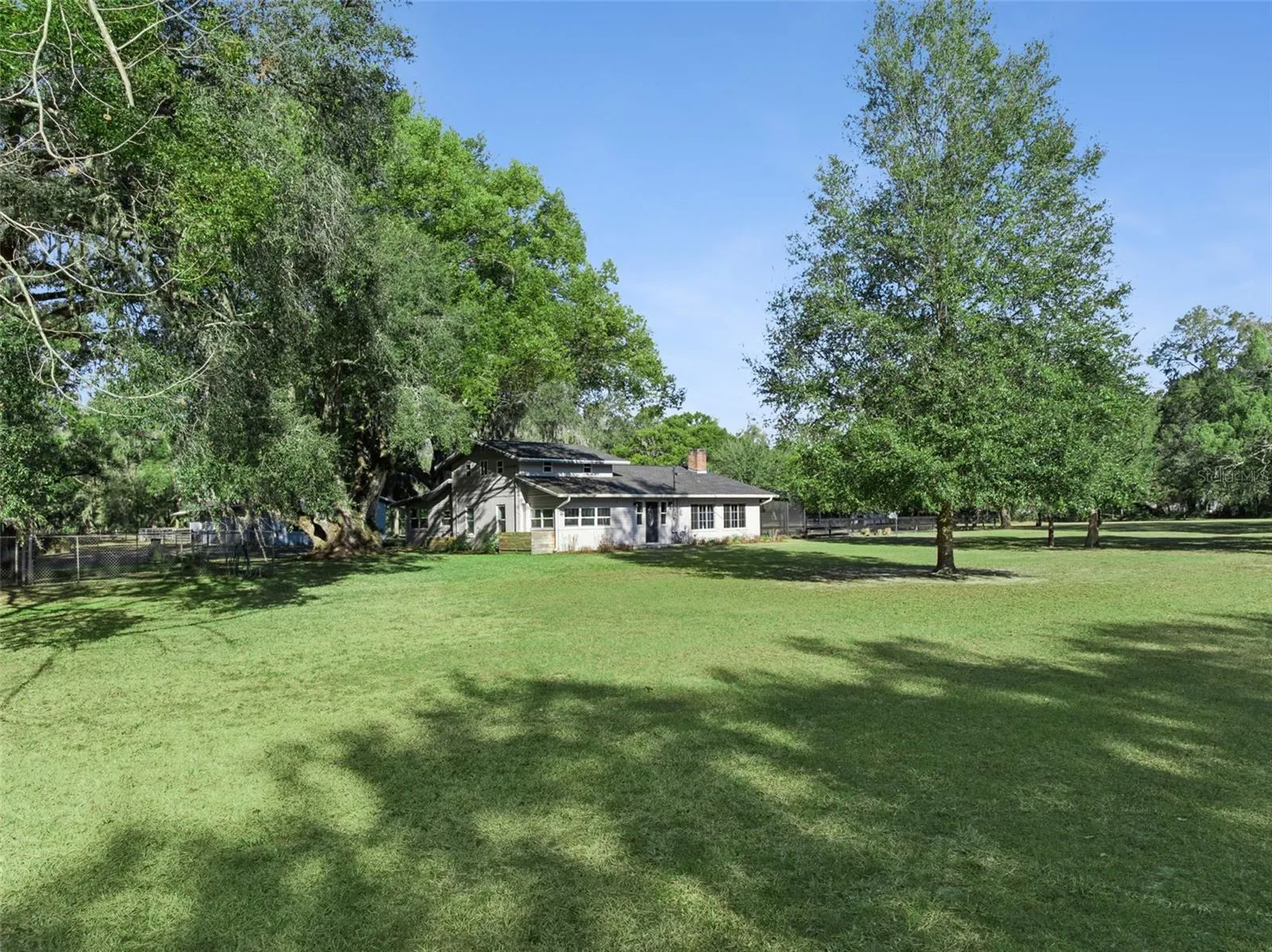 Beautiful trees throughout the 5 acres
