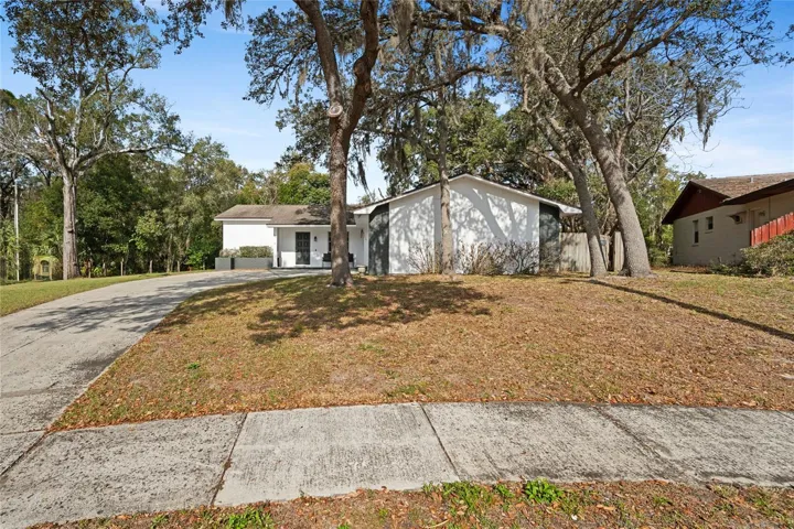 Large front yard in a cul de sac