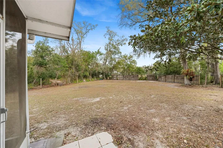 View of the large backyard
