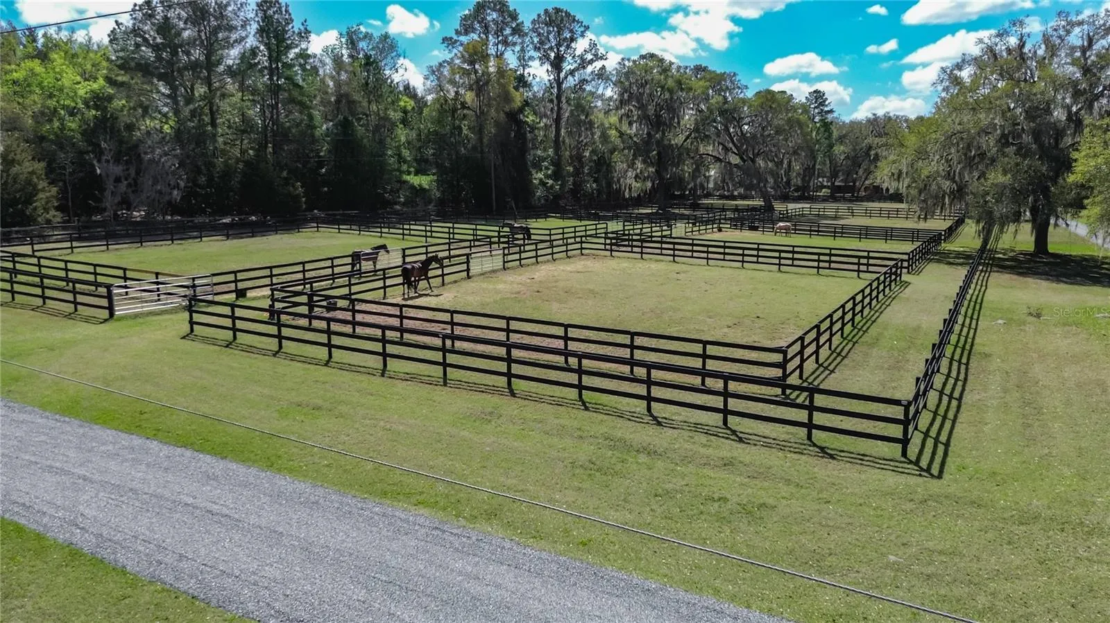 12 paddocks