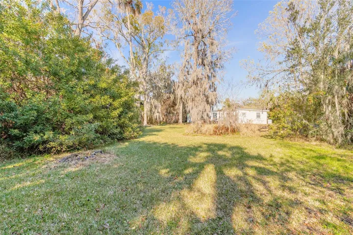 Huge Yard