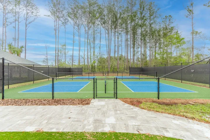 Neighborhood pickleball courts