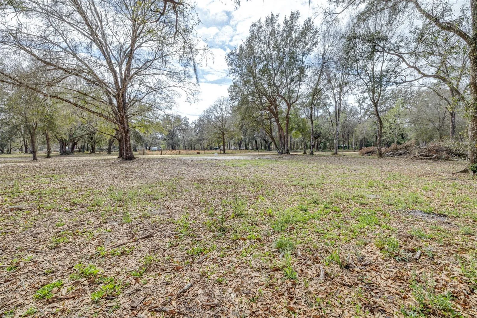 Back of property