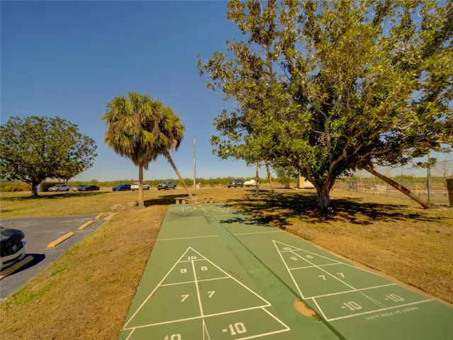 Community Shuffleboard
