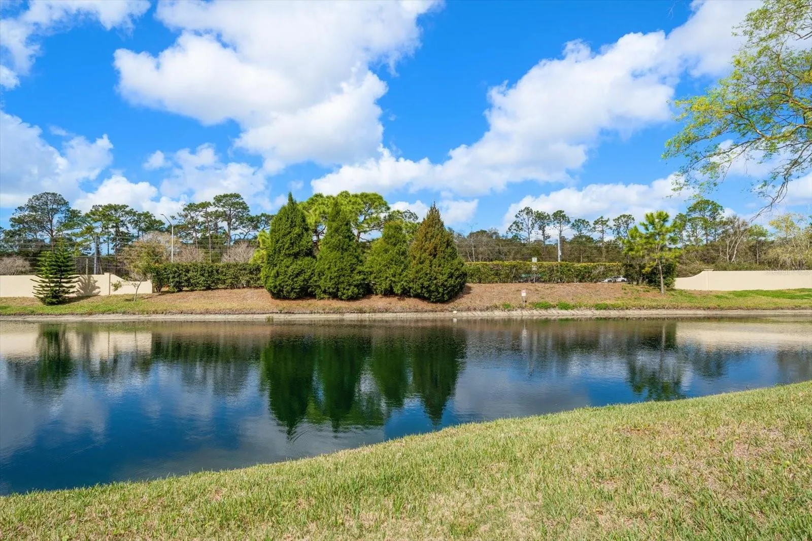 Pond View
