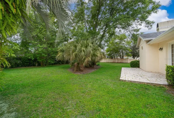 Expansive Back Yard