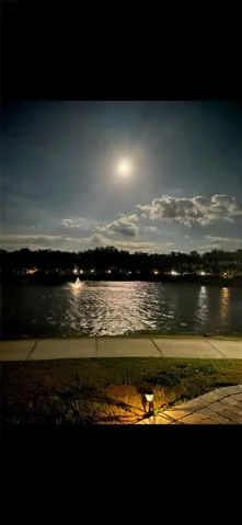 MOON NIGHT