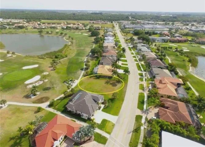 Arial View
