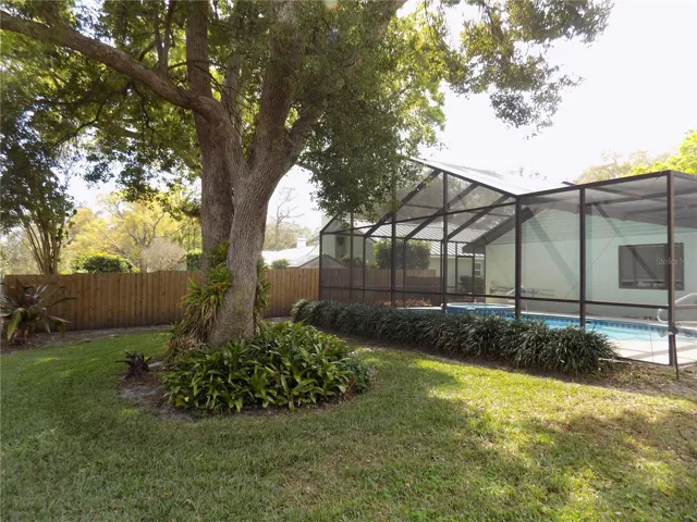 Back yard with mature camphor tree