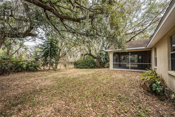 Backyard (old roof)