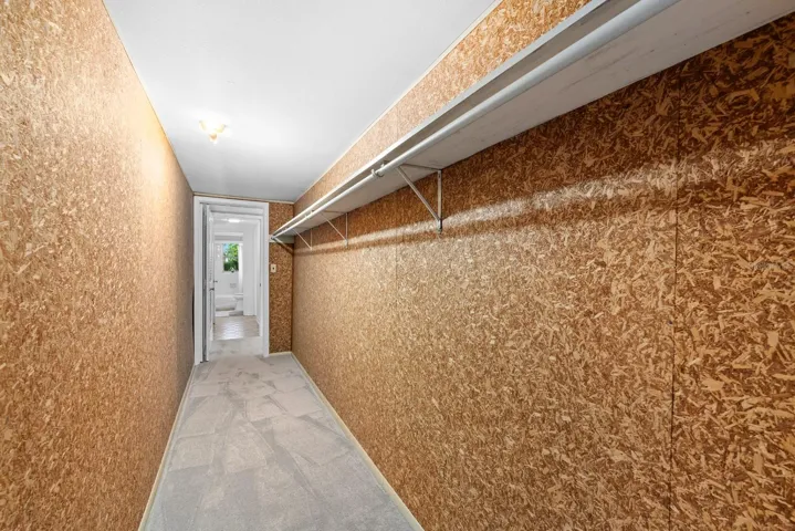 Walk-in Primary Closet and brand new carpet