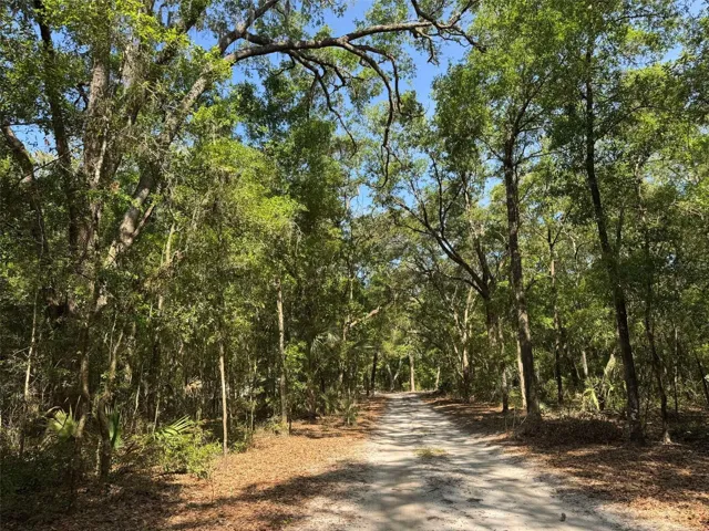 private tree-lined driveway