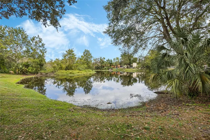 View from Patio