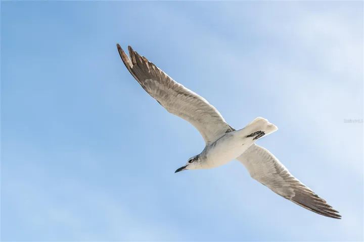 1170