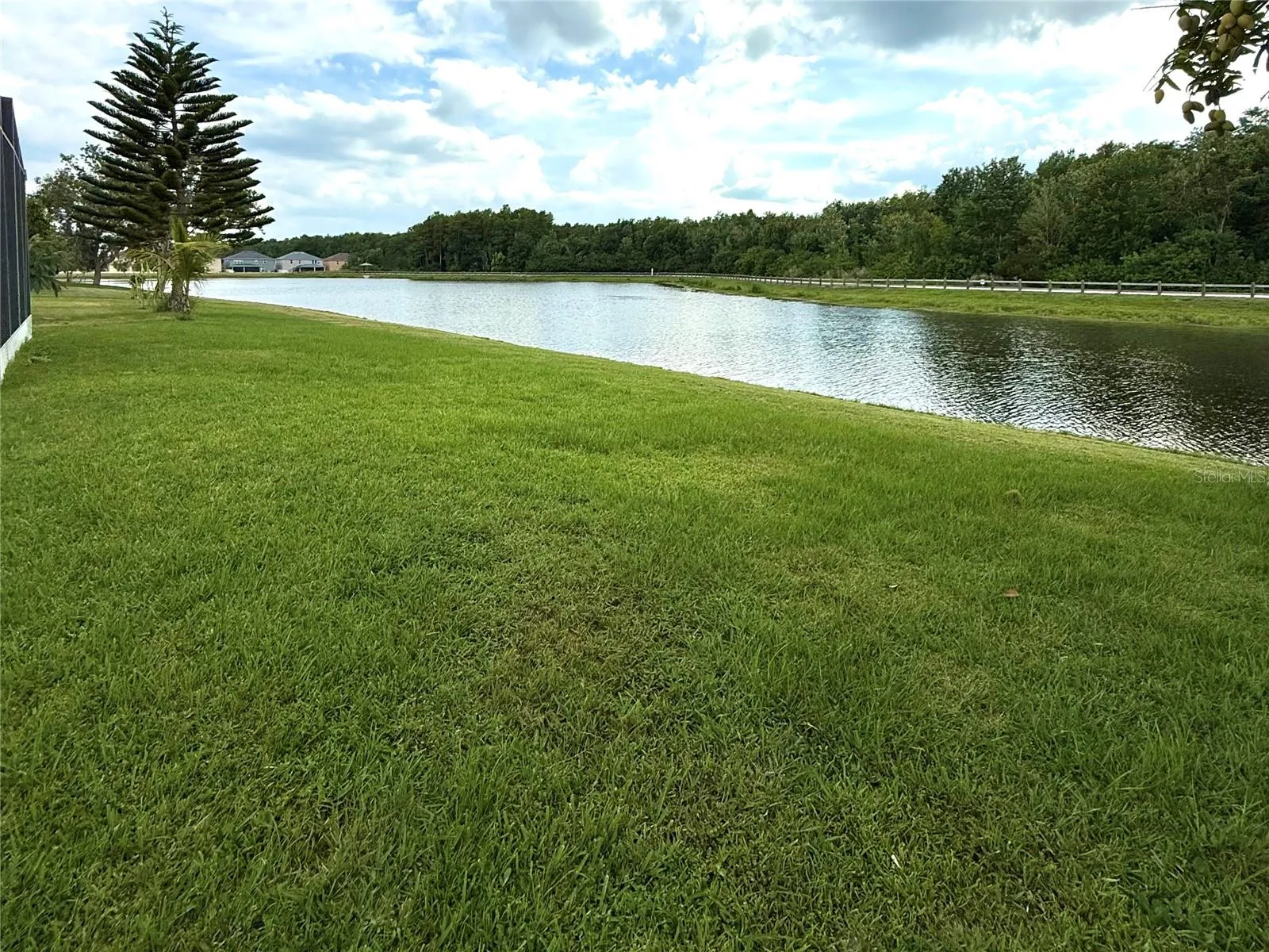 Waterfront yard