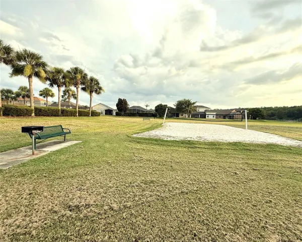 Volleyball field and barbecue grill