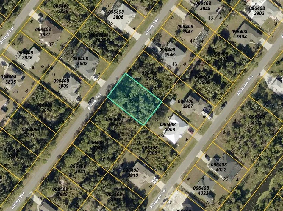 County map of lot