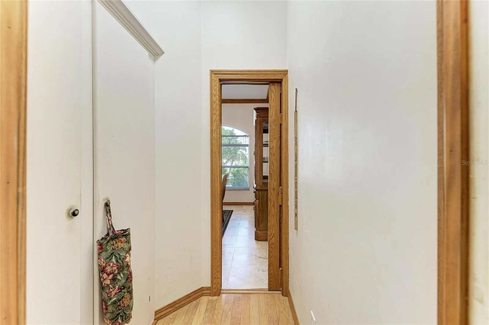 Extra pantry at left in walk through from kitchen to dining room