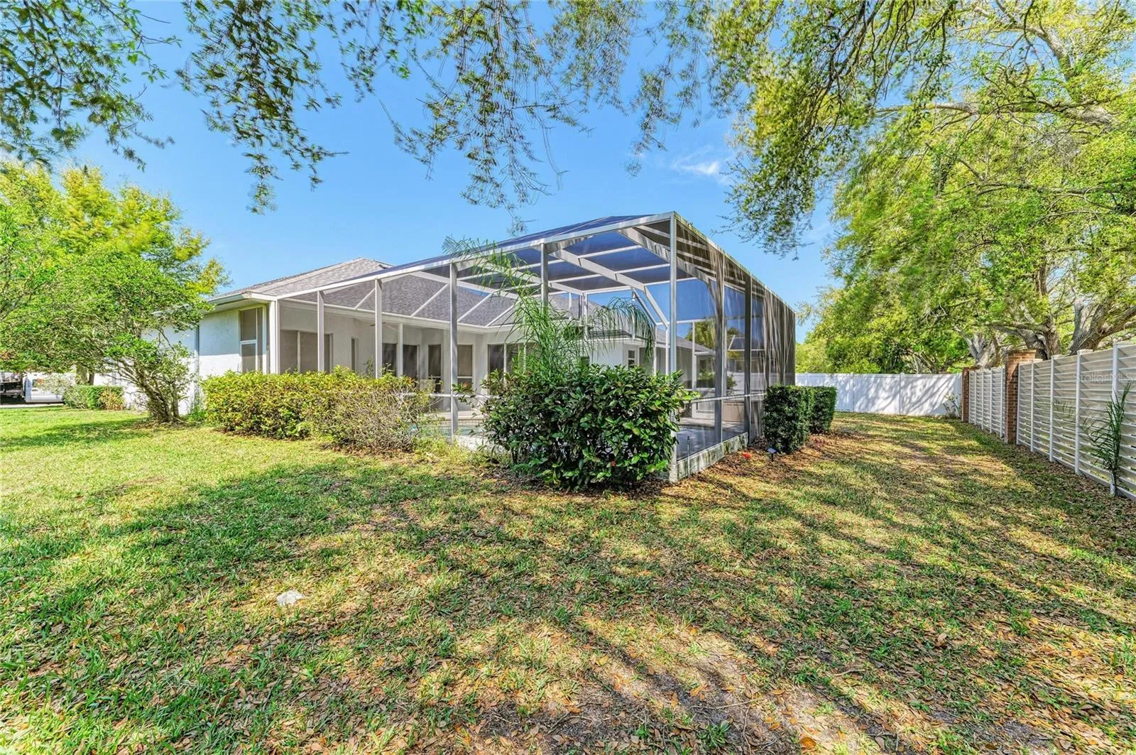Back and side yard