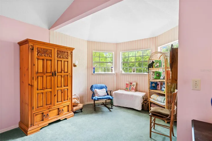 Owner's Retreat bonus space with endless possibilities